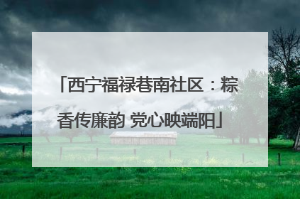 西宁福禄巷南社区：粽香传廉韵 党心映端阳